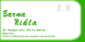 barna mikla business card